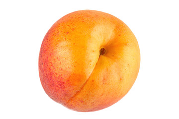 Apricot fruit on white