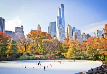 Peel and stick wall murals New York Ice rink