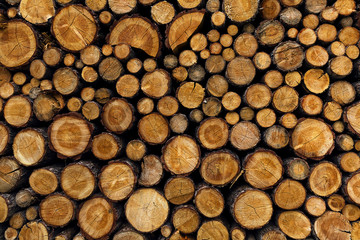 Background of dry chopped firewood logs stacked up on top