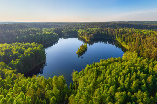 Forest lake (aerial photo)