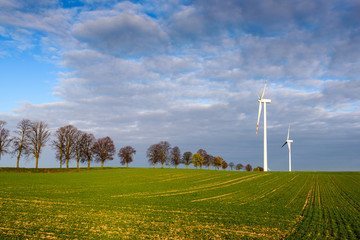 Windmills for electric power production surrounded by agricultural fields in Polish country side....