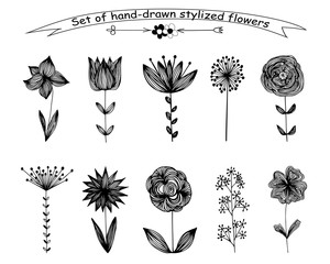 A set of 10 hand-drawned flowers