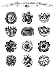 A set of 12 hand-drawned flowers