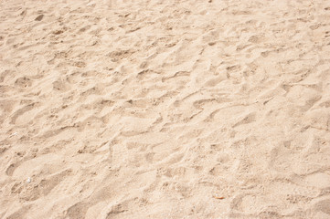 Obraz na płótnie Canvas Lines in the sand of a beach
