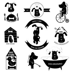 Set of ballet dancers in ballet studio