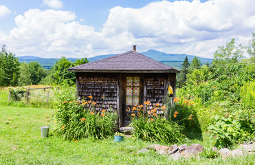 wood shingled garden shed in summer
