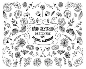 The set of hand-drawn floral elements