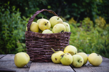 apples in a homemade basket