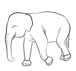 Elephant silhouette for coloring book