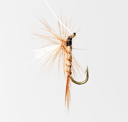 fly for fishing on a white background