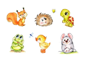Fotobehang Set of animals-frog, chick, mouse, hedgehog, squirrel,  turtle © ciumac