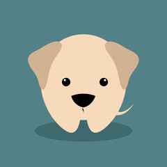 Cute Cartoon dog