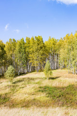 Field, forest and sky in the autumn