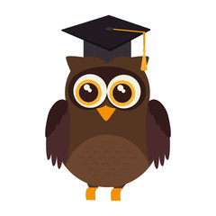owl graduate hat animal bird academic cartoon vector illustration isolated