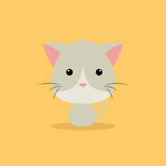 Cute Cartoon cat