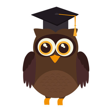 owl graduate hat animal bird academic cartoon vector illustration isolated