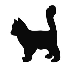 Silhouette of cat on white background.