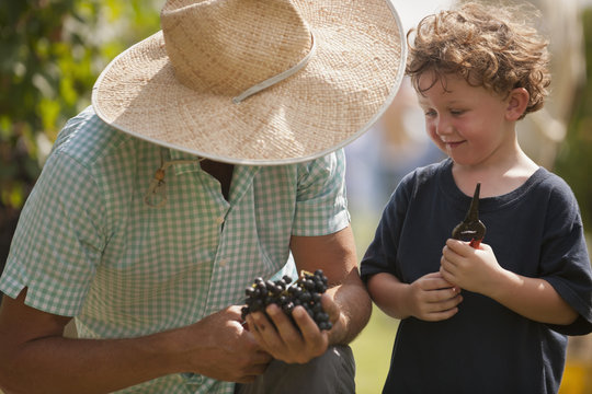 Caucasian man and son in vineyard