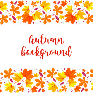 Autumn lettering background. Autumn background with yellow red and green leaves.