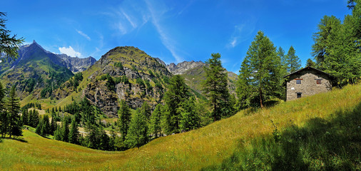 Alpien panoramic view vith mountain house