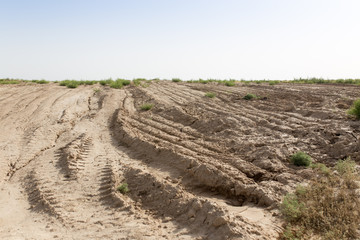 dirt road in the desert