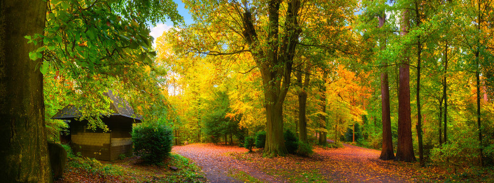 Malerisch bunter Herbst in einem schönen Naturpark bei weichem Licht