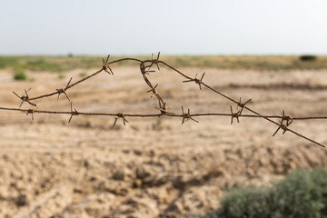 barbed wire fence in the nature