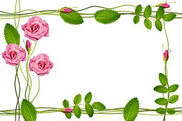 The buds of flowers roses. Holiday card