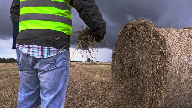 Farmer with straw in hand on field in 4K
