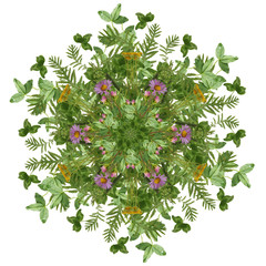 Kaleidoscope from wild flowers and grasses. - obrazy, fototapety, plakaty