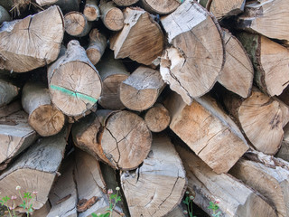 Pile of Wood Logs With Small Flowers
