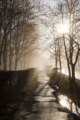 Obraz premium Empty street at morning