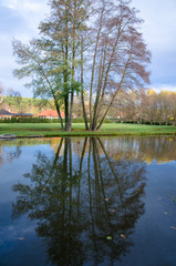 Obraz premium reflection in water