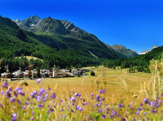 view on alpine mountain village Rhemes Notre Dame from hayfield