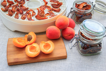 Home made dried apricots and fresh fruits on a kitchen table, fruit drier in the background
