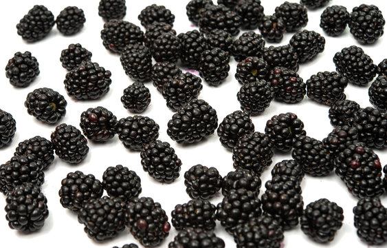blackberries