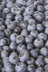 Close-up of a pile of Blueberries (bird's eye view)