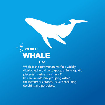 Isolated whale vector illustration. Ocean mammal on the blue background image.