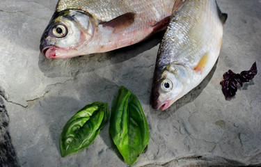 Freshly caught bream and roach.On stone plate decorated with bas