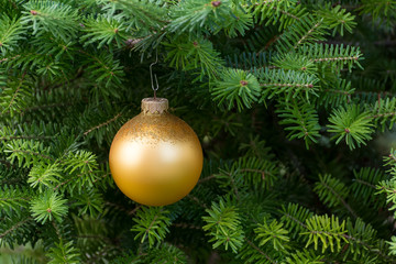 Christmas gold ball on the Christmas tree. New Year's toy.