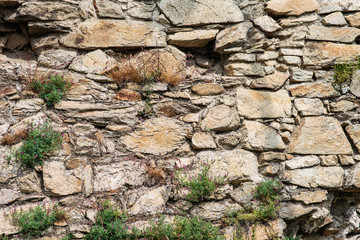 old stone wall with plants, stone ruins