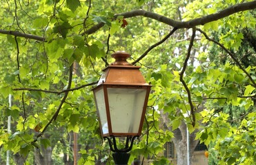 Lourmarin, cand&eacute;labbre