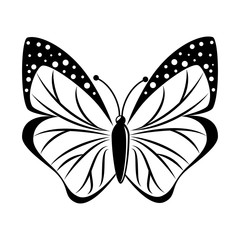 butterfly animal insect animal wings fly spring artistic vector front illustration isolated front