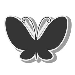 butterfly animal insect animal wings fly spring artistic vector illustration isolated front