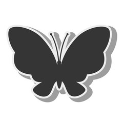 butterfly animal insect animal wings fly spring artistic vector illustration isolated front