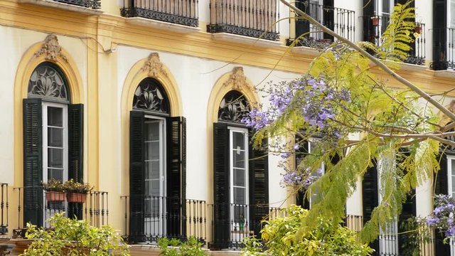 Jacaranda flower with open balconies in building of old town of Malaga, Spain
