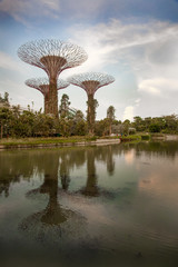 Fototapeta na wymiar Panoramic views of the botanical gardens in Singapore