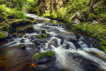 Naklejka na ściany i meble River runs over boulders in the primeval forest