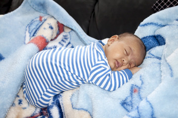 Bebe