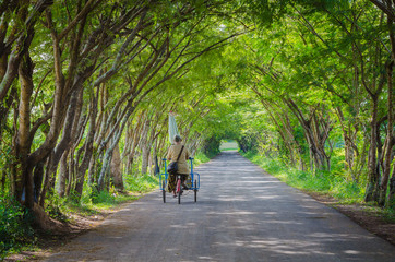 road with tree tunnel in thailand
